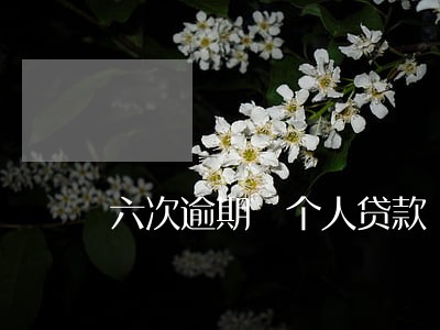 六次逾期 个人贷款 六次逾期 个人贷款